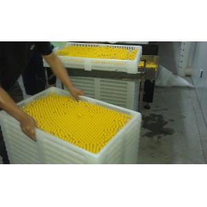 Propene Polymer Large Plastic Trays Food Grade 780 * 495 * 55mm With 4mm Hole