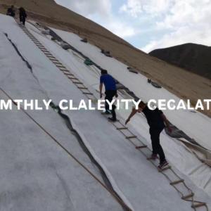 density Polyethylene Plastic Composite Geonet The Ultimate Road Drainage