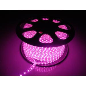 220V LED Flexiable Strips SMD5050 RGB multicolor Purple color IP65 high brightness