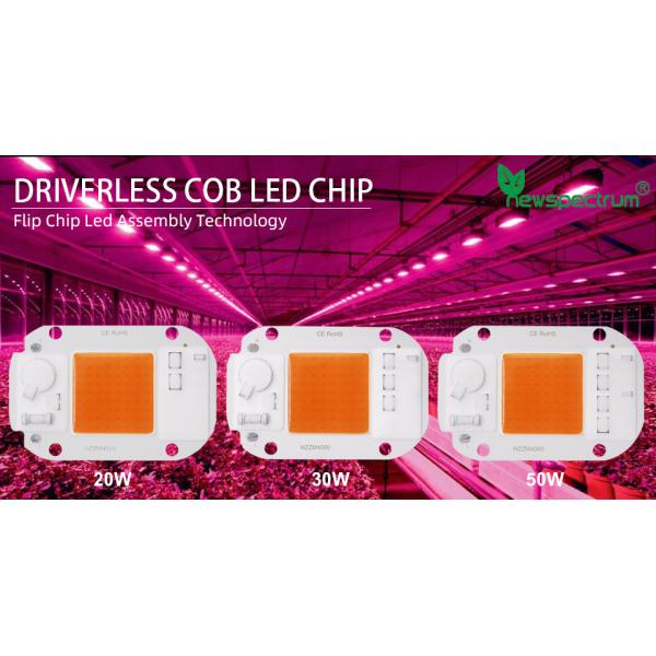230V AC COB LED Chip High Power Garden Lighting Epistar Chip