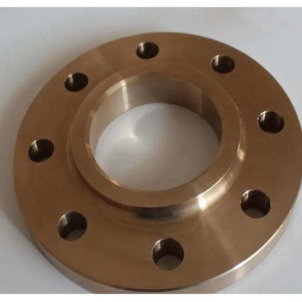 Schedule 40 Pipe Fitting Flange Plate Flat Weld Copper Nickel Flange Forged
