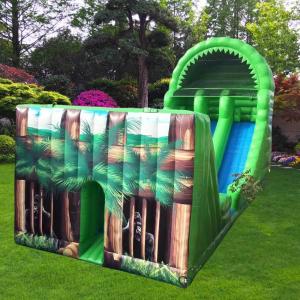 Customized Color Inflatable Bouncer Commercial Slide with Max Capacity 100-500kg
