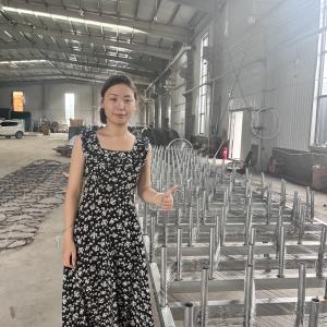 Anti-Tank Metal Wire Mesh Mzp Low Visibility Border Obstacle Defense Fence Tank