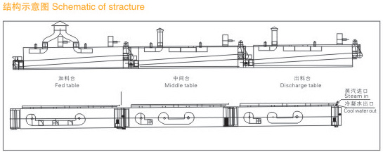 DWT Series Drier for Vegetable Dehydration