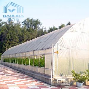 Plastic Tunnel Strawberries Agricultural Farm Tunnel Plastic Greenhouse With