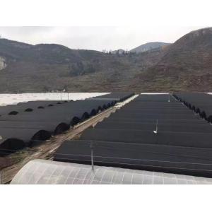 Sides Ventilation Plastic Tomato Greenhouse Resists Corrosion