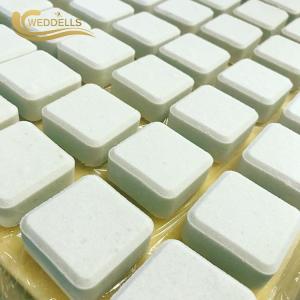 Customized Aromatherapy Shower Tablets / Eucalyptus Shower Bomb