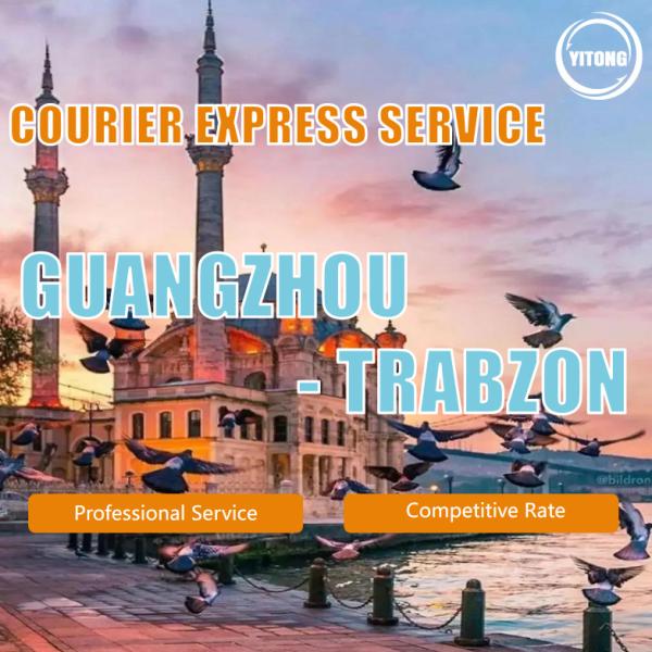 Buy Freight Forwarder/Shipping Agent/Sea Freight Shipping/Air Shipping/Express From China to Egypt / Turkey at wholesale prices