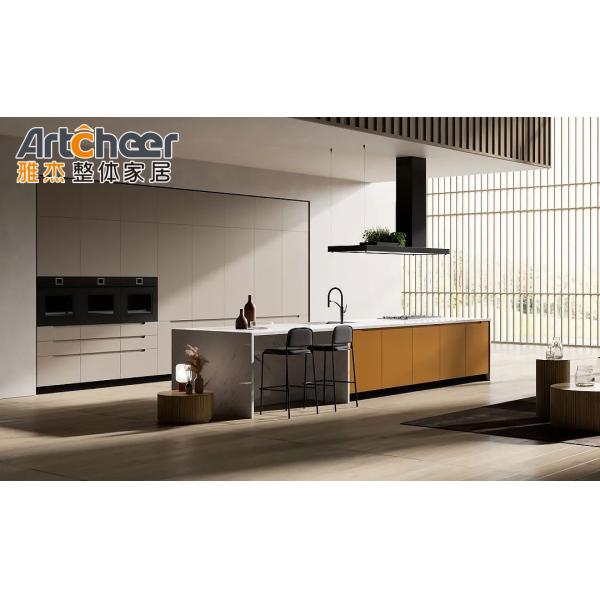Modern Stylish Kitchen Cabinet with Plywood Carcase and Technology Mini Model Design