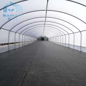 Farming Singlespan Tunnel Greenhouse With Irrigation And Hydroponic Growing