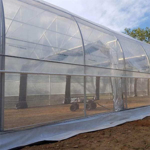 Galvanized Steel Frame Mushroom Automatic Blackout Greenhouse Light Dep System
