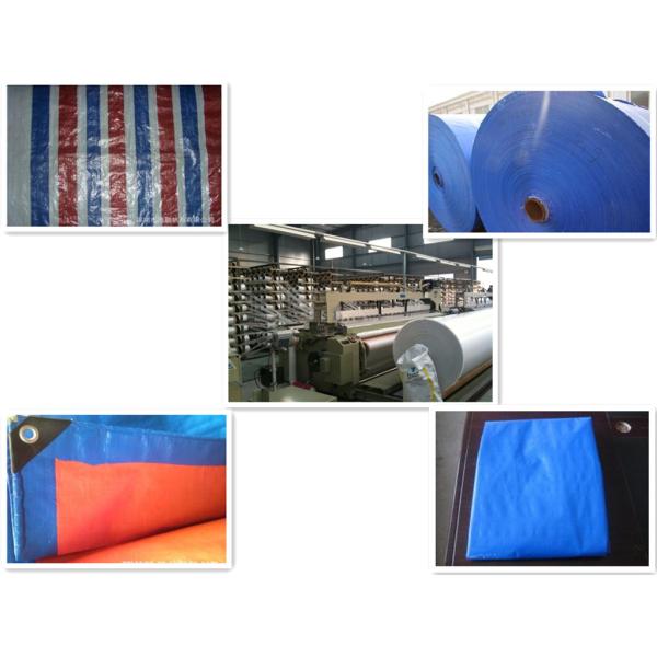 Buy PLASTIC COLOR-STRIPPED TARPAULIN at wholesale prices