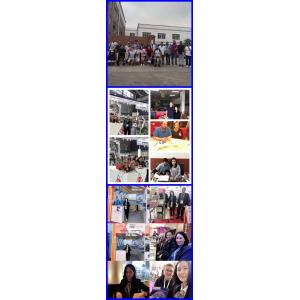 good accurately Filling Machine grain sugar coffee bean,rice ,sachet,snack,salt