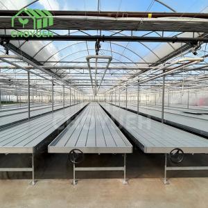 Quality Hydroponic Trays Greenhouse Benches Ebb And Flow Rolling Benches 3mm for sale