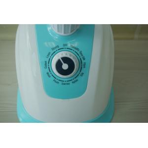 Lake Blue Handheld Garment Steamer Constant Temperature Setting With Hanger