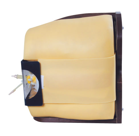 Lumbar puncture Clinical simulation training doll for college training