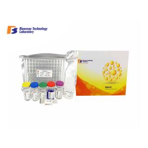 96 Wells High Sensitive Human Myo-inositol Oxygenase ELISA Kit
