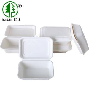 China Sugarcane Bagasse Eco Friendly Disposable Dinnerware Rectangular Biodegradable Takeaway Box on sale