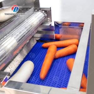 Enhance Your Production with Our State-of-the-Art Fruit And Vegetable Processing