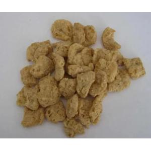 Continuous & Automatic Soya Extruder Machine