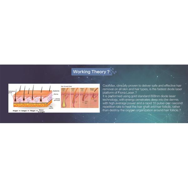 Clinic Use Permanent Hair Removal Equipment 600W No Pigmentation High Efficiency