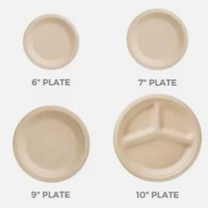 10 Inch Pulp Plate Sugarcane Bagasse Tableware