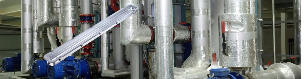 IP66 Ik08 2FT 4FT 5FT Waterproof Dustproof Robust Aluminum Linear Light 25W 35W 45W 50W 65W 75W LED Stainless Steel Waterproof Lamp LED Tri Proof Light