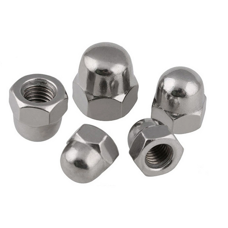 DIN1587 Stainless Long Small Hex Head Domed Cap Nut for Decorative Cars Motorcycle