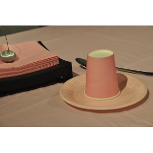 Quality Disposable Party Premium Paper Tablecloths 4 Pink Rectangle 54 &quot; X 108 &quot; for sale