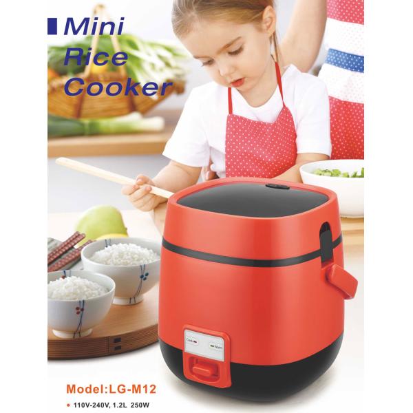 A mini cooker.jpg