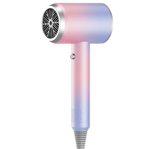 Quality Advanced Blue Light Ion Technology Net Red Hair Dryer with High Power and Hot/Cold Air for sale