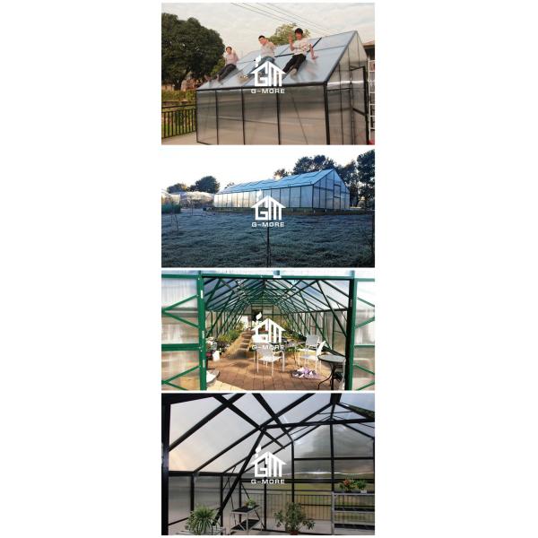 G-MORE Titan 5M width Greenhouse Application 2.jpg