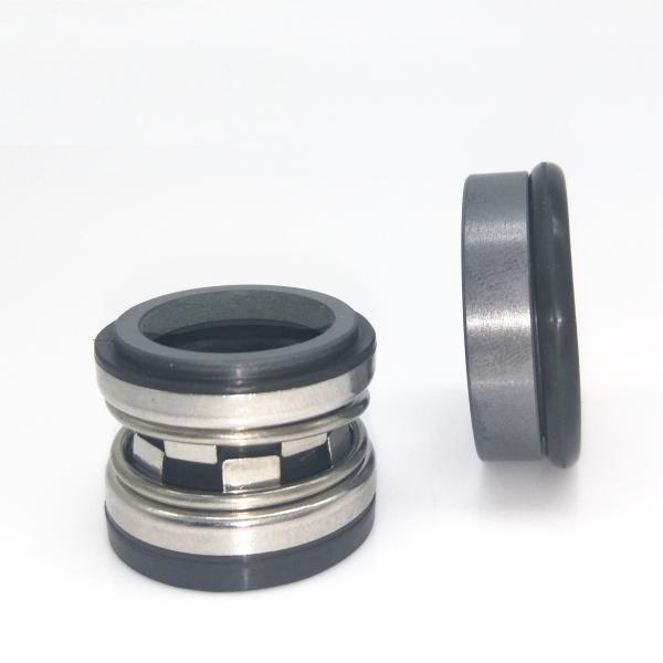 2100 Industrial Mechanical Seals Rubber Bellows Seal With G60 Seat