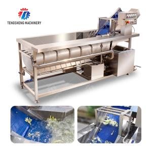 Cleaning processing production Machine Vortex vegetable washing machine red