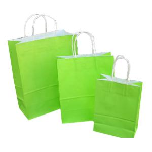 Standard Size Paper Bags With Handles Degradable Material Simple Style
