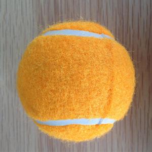 Quality pet outdoorpets training goodscarriers &amp; houses&quot; for sale