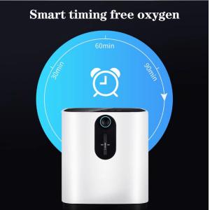 Portable Low Noise 6L Household Oxygen Generator PSA Methods