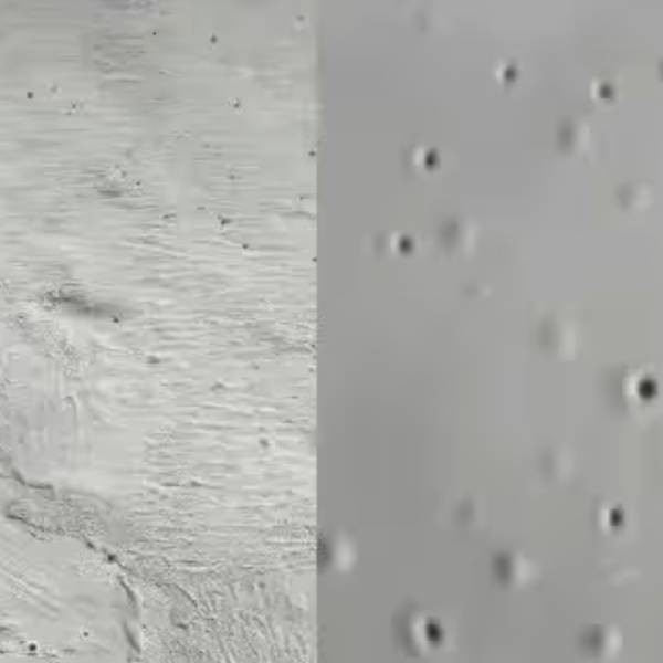 Quality Common Issues in Waterproof Coating Application for sale