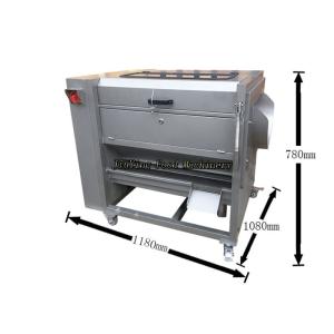 Commercial Fruit Taro Carrot Onion Vegetable Washing And Peeling Machine