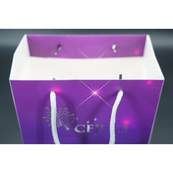 Customizable Printable Natural Kraft Paper Bags In Bulks With Twisted Handles Kraft Paper Bag Manufacturers Paper Shoppi