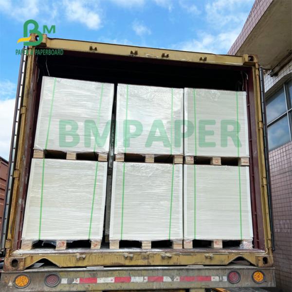 High Pulp White FBB Food Grade Ivory Board 210g 250g For Cake Packing High Pulp White FBB Food Grade Ivory Board 210g 250g For Cake Packing