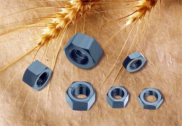 4.8/8.8/12.9 Grade Stainless Steel Hex Nuts Corrosion Resistant For Machanical