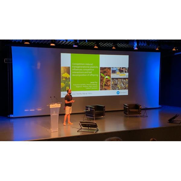 Buy 350inch Large Motorized Projection Screen With RF Remote Control at wholesale prices