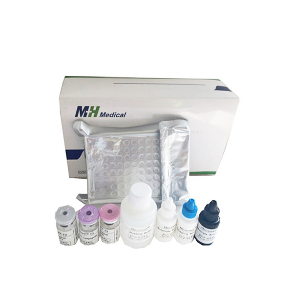 China AFP ELISA Reagent Kit Test PSA CEA CA125 CA153 FERRITIN Tumor Marker on sale China AFP ELISA Reagent Kit Test PSA CEA CA125 CA153 FERRITIN Tumor Marker on sale