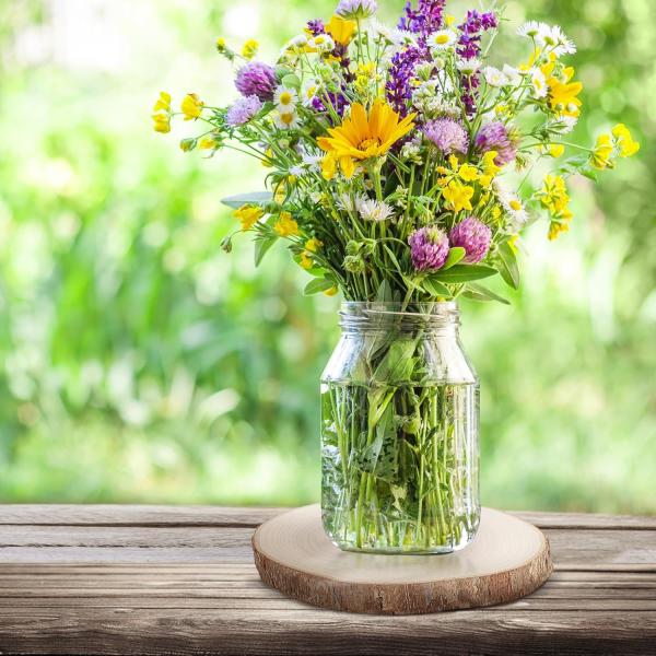 Unfinished Round Wood Natural Wood Slices for Arts and Crafts Christmas Ornaments DIY Crafts Signage Painting Wedding Party