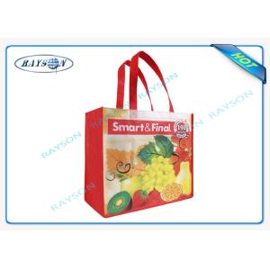 China Reusable Printed Non Woven Fabric Bags 80gr on sale