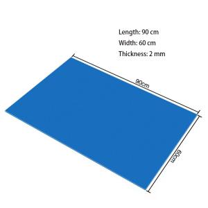 Sole Dust Removal Reusable Sticky Mat For Home Office Warehouse