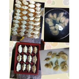 tabletop dumpling making machine, wonton making machine, huntun machine