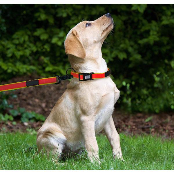 4ft Orange Waterproof Dog Leash , No Pull Unchewable Dog Leash For Small Medium Large Dogs