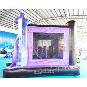 Outdoor Panther Jumping Castle Inflatable Bounce Houses